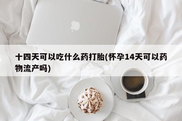 堕胎药联系方式十四天可以吃什么药打胎(怀孕14天可以药物流产吗)